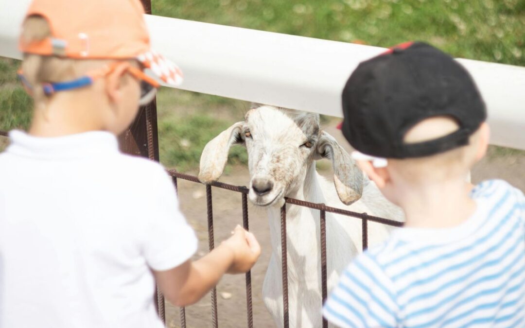 Family fun ideas to keep everyone busy this half term
