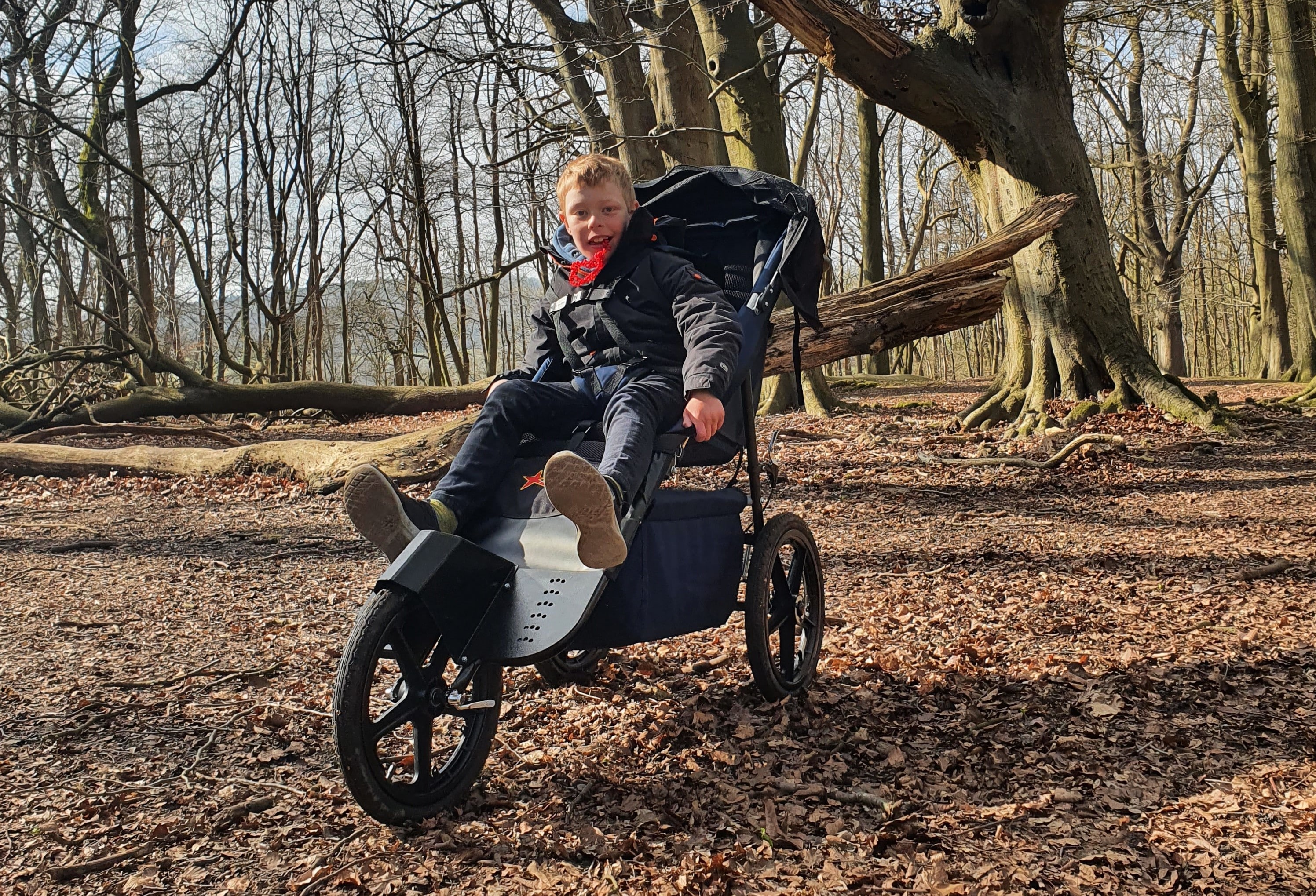 Specialist Push Chair